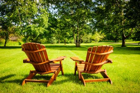 Enjoy A Stress-Free Lawn With Professional Weed Managment