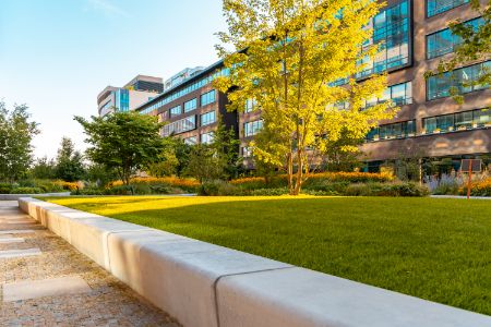The Importance Of Commercial Lawn Care