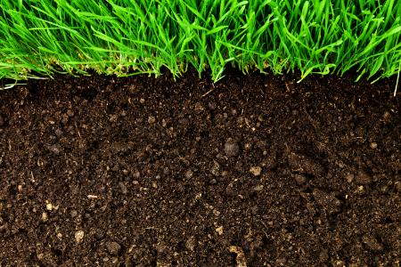 Soil Testing